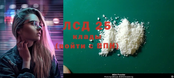 прущие грибы Абинск