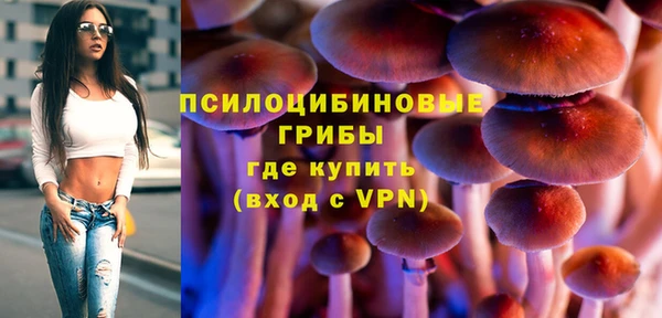 первитин Алексеевка