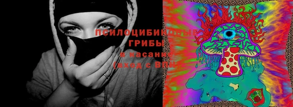 кокс Алзамай